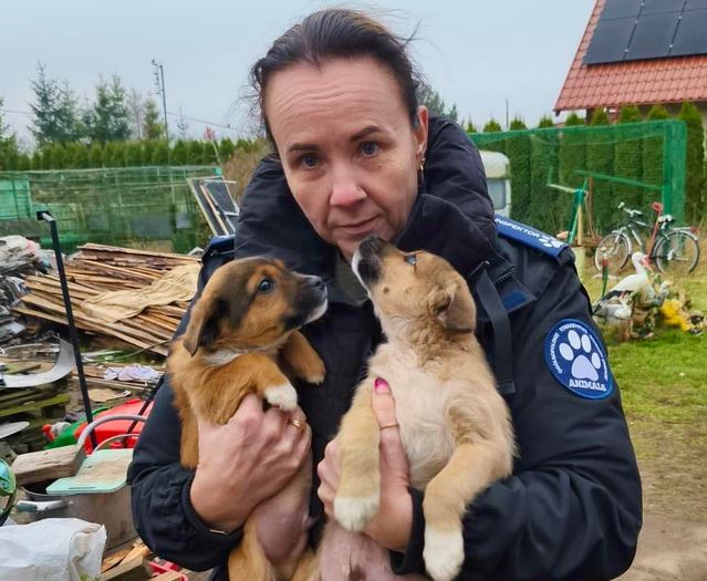 Dwa psy odebrane z dramatycznych warunków. Wspólna interwencja policji i OTOZ Animals