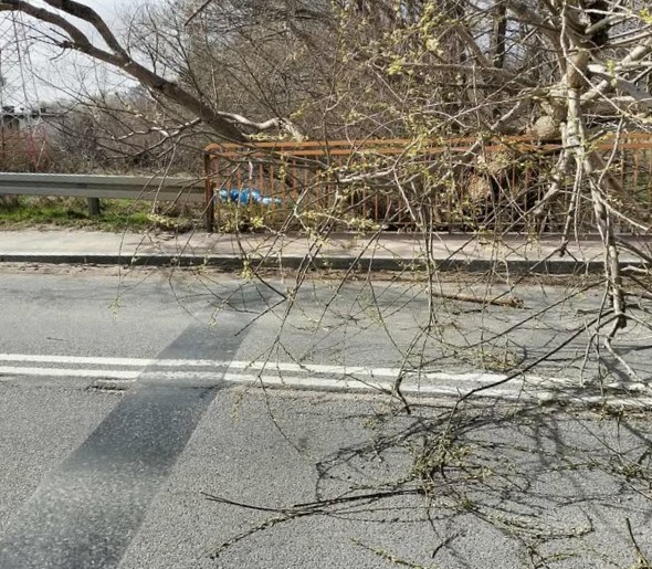 Wichura nad Pomorzem. Ponad 40 interwencji straży