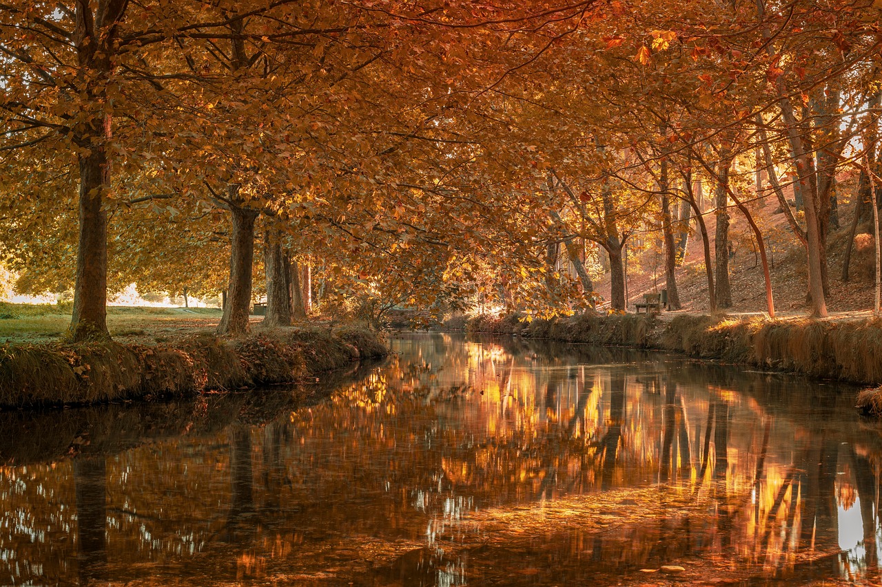 Baltic Sea Tourism Forum 2025. Pomorskie w centrum debaty o regeneracji i innowacjach w turystyce