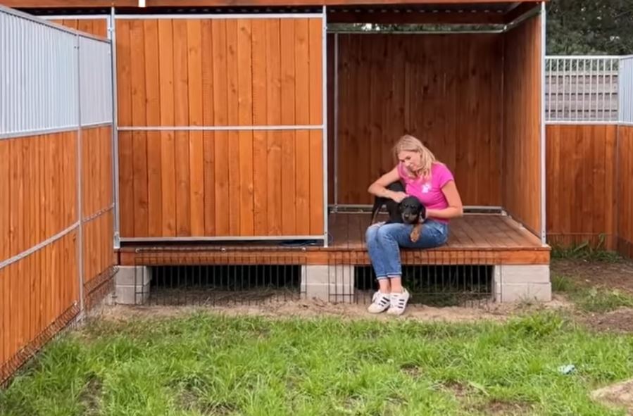 „Dąbrówka” odnawiana! Tak zmienia się życie bezdomnych psów i kotów