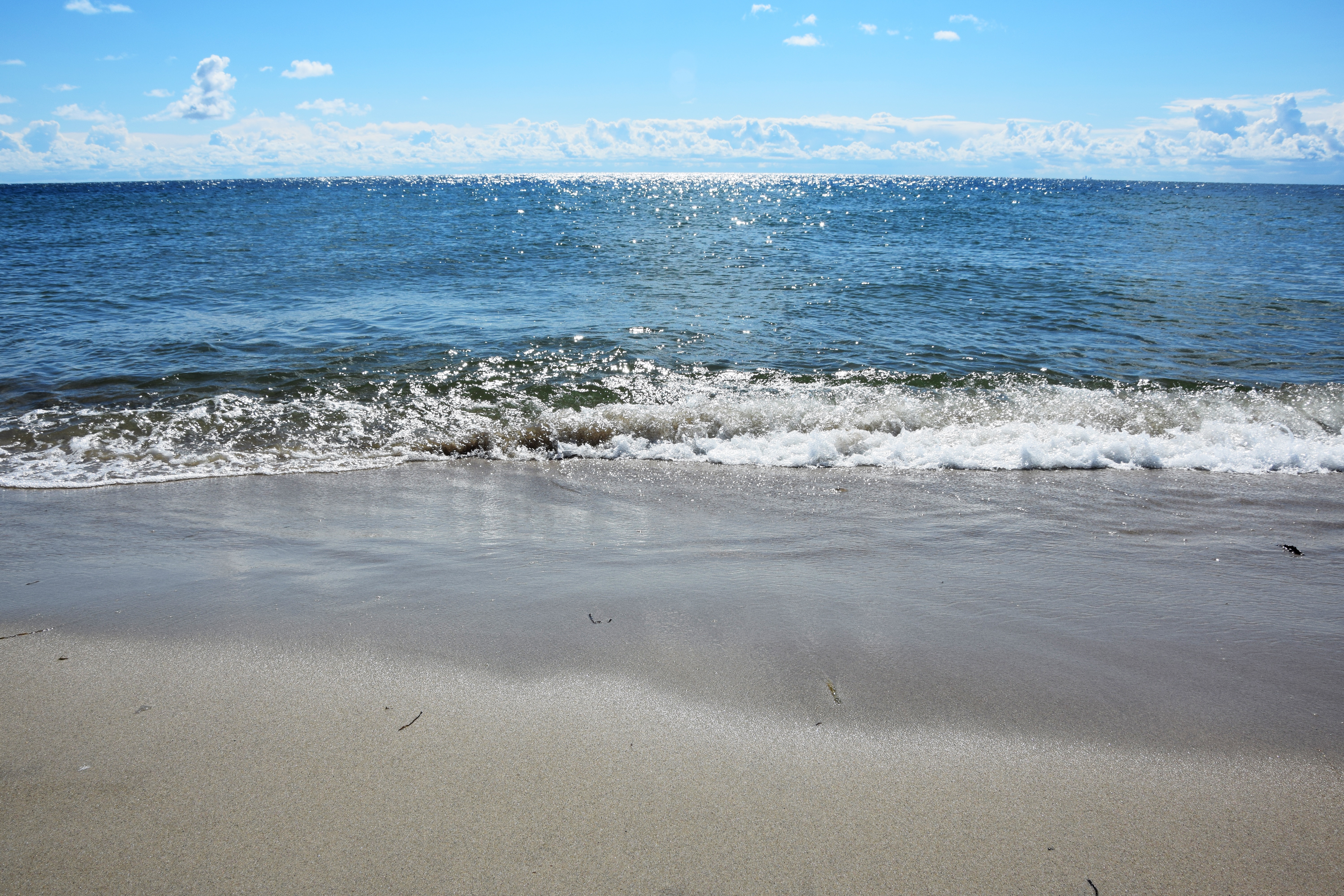 Makabryczne odkrycie na plaży. Znaleziono ludzkie przedramię