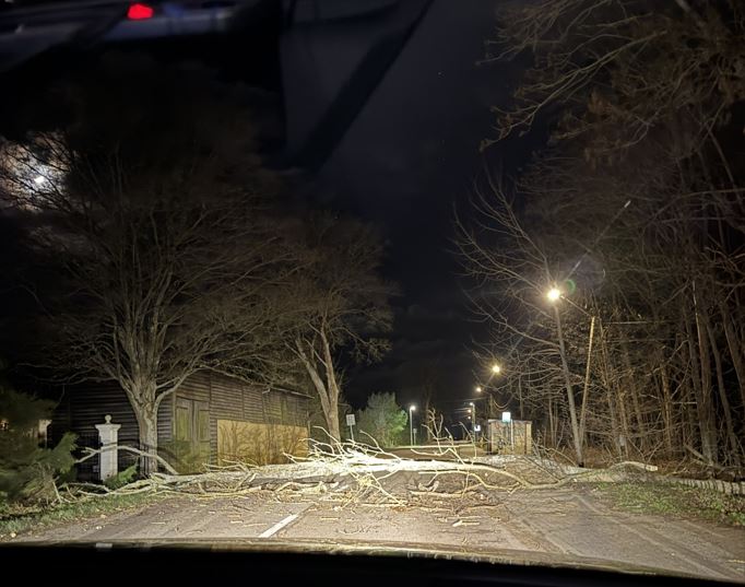 Pracowita noc dla strażaków z Pomorza. Połamane drzewa i cofka