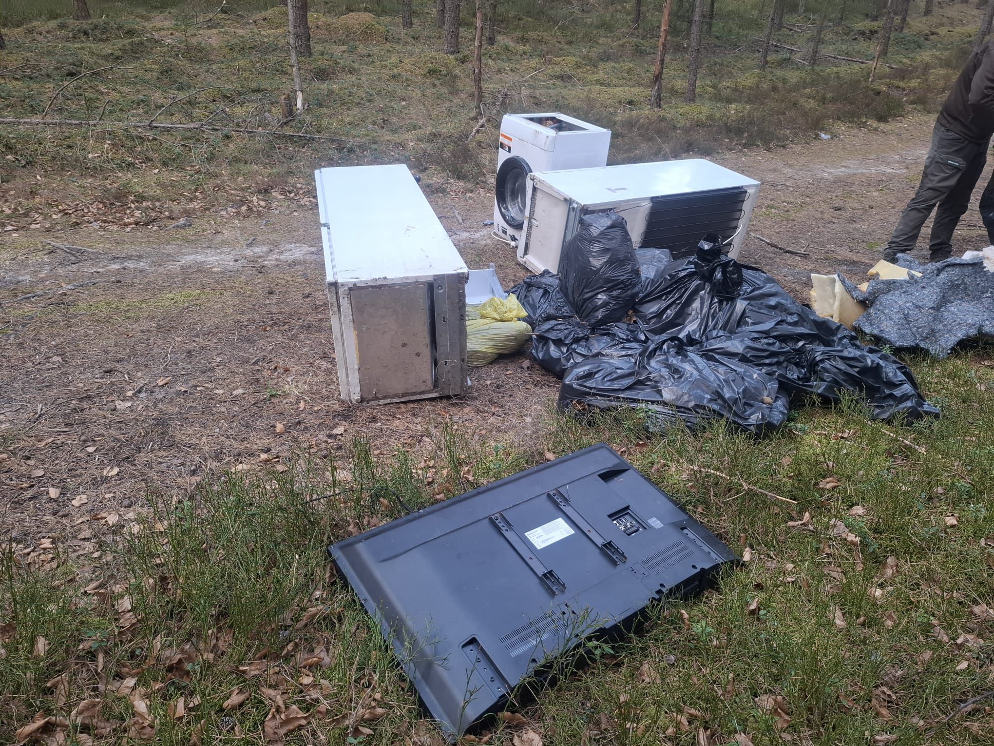 Pralka, lodówki i telewizor porzucone w lesie. Sprawca ukarany słonym mandatem