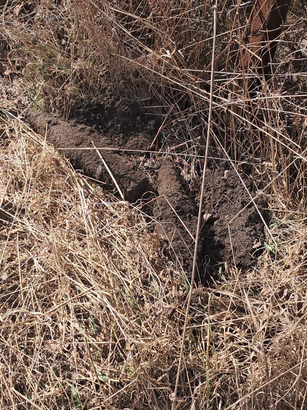 Wejherowo: Znaleziono pociski z okresu drugiej wojny światowej. Wezwano saperów | ZDJĘCIA