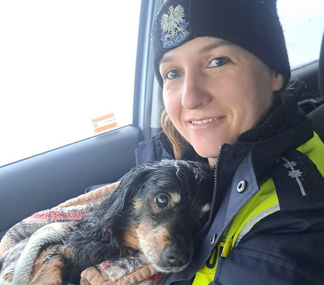 Potrącił psa, potem szukał go z policjantkami