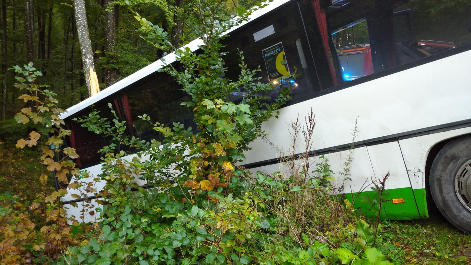 Wypadek autobusu na trasie Leśniewo - Darzlubie. Są policyjne ustalenia