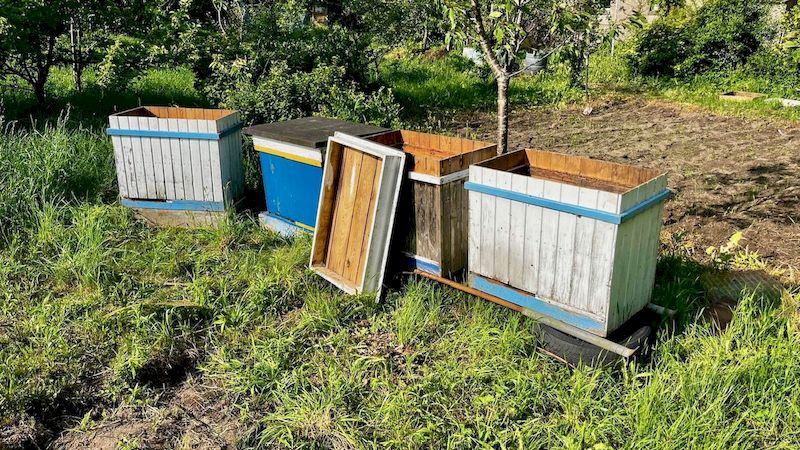 Ukradli ule. W areszcie miodu nie będzie