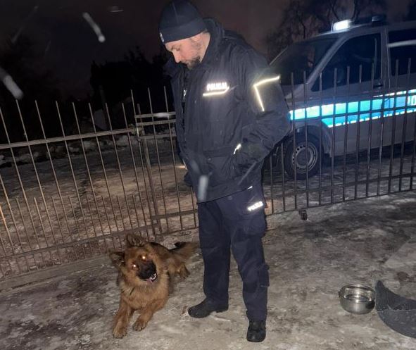 Mróz mógł zabić. Dramatyczna walka o życie psa