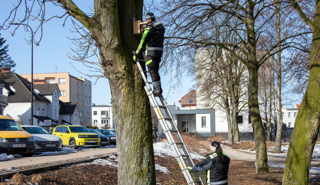 Wiosenne prace w parkach. Stawiają na ochronę ptaków