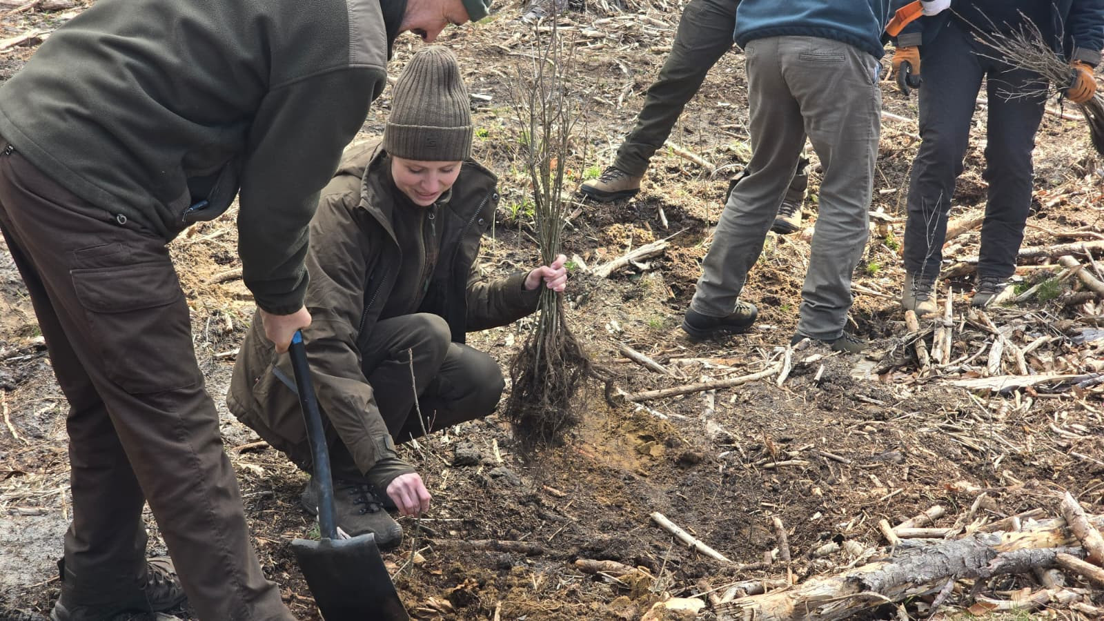 W Nadleśnictwie Wejherowo posadzili około 8 tys. sadzonek. "Robimy to dla kolejnych pokoleń"