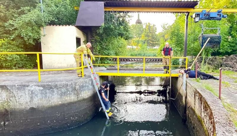 Bóbr w pułapce bez wyjścia. 'Zwierzak nie chciał współpracować'