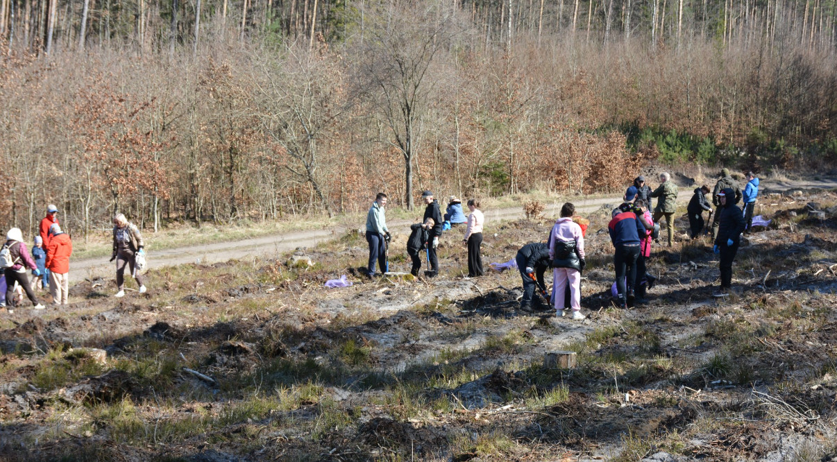Uczniowie sadzili las. Ponad 160 osób wzięło udział w akcji