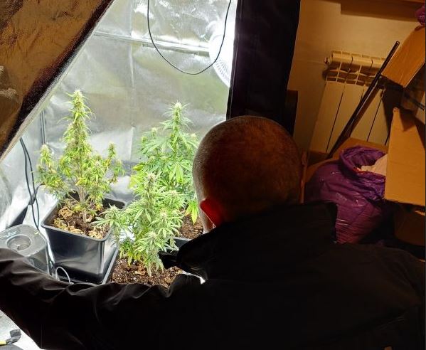 Małe mieszkanie, a w nim namiot. A w namiocie...