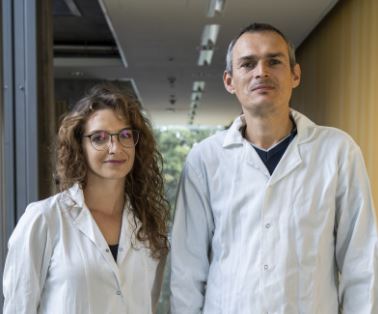 Przełom w działaniu popularnego leku przeciwzapalnego. Nowy patent naukowców z Uniwersytetu Gdańskiego