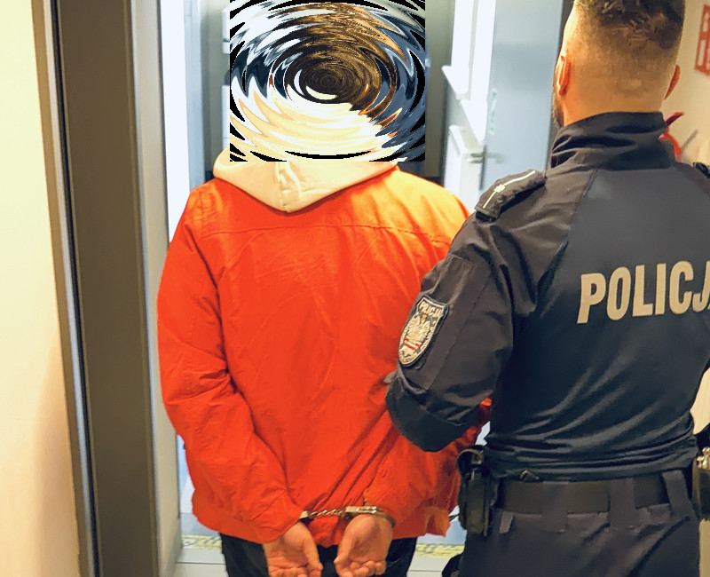 16-latek stosował przemoc m.in. wobec swojej matki. Teraz odpowie przed sądem | WIDEO