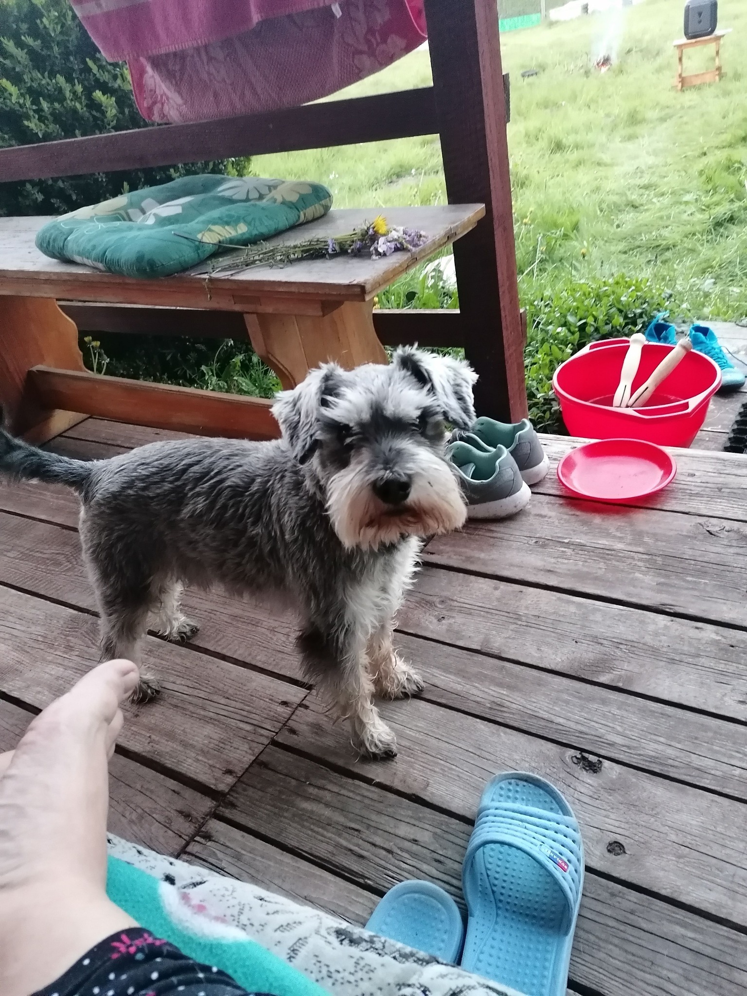 fot. Alicja Wasiniewska