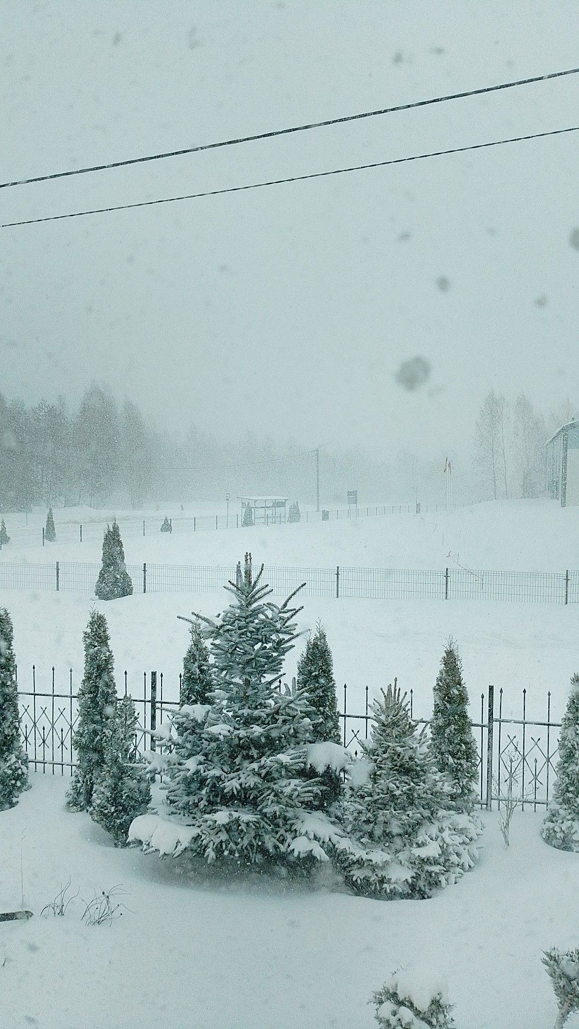 fot. Magdalena Lena.jpg