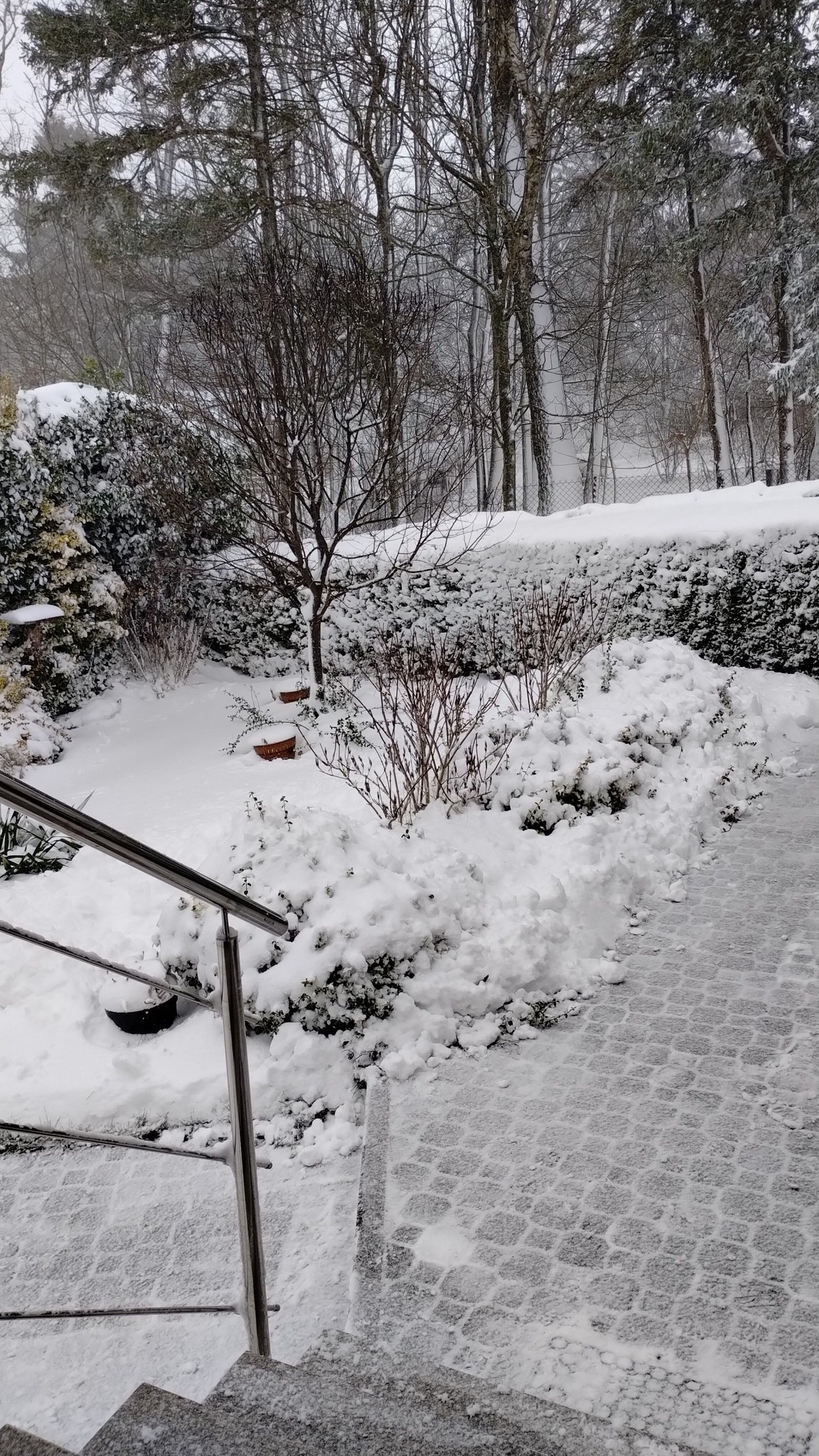 Parszczyce fot. Barbara Szymańska.jpg