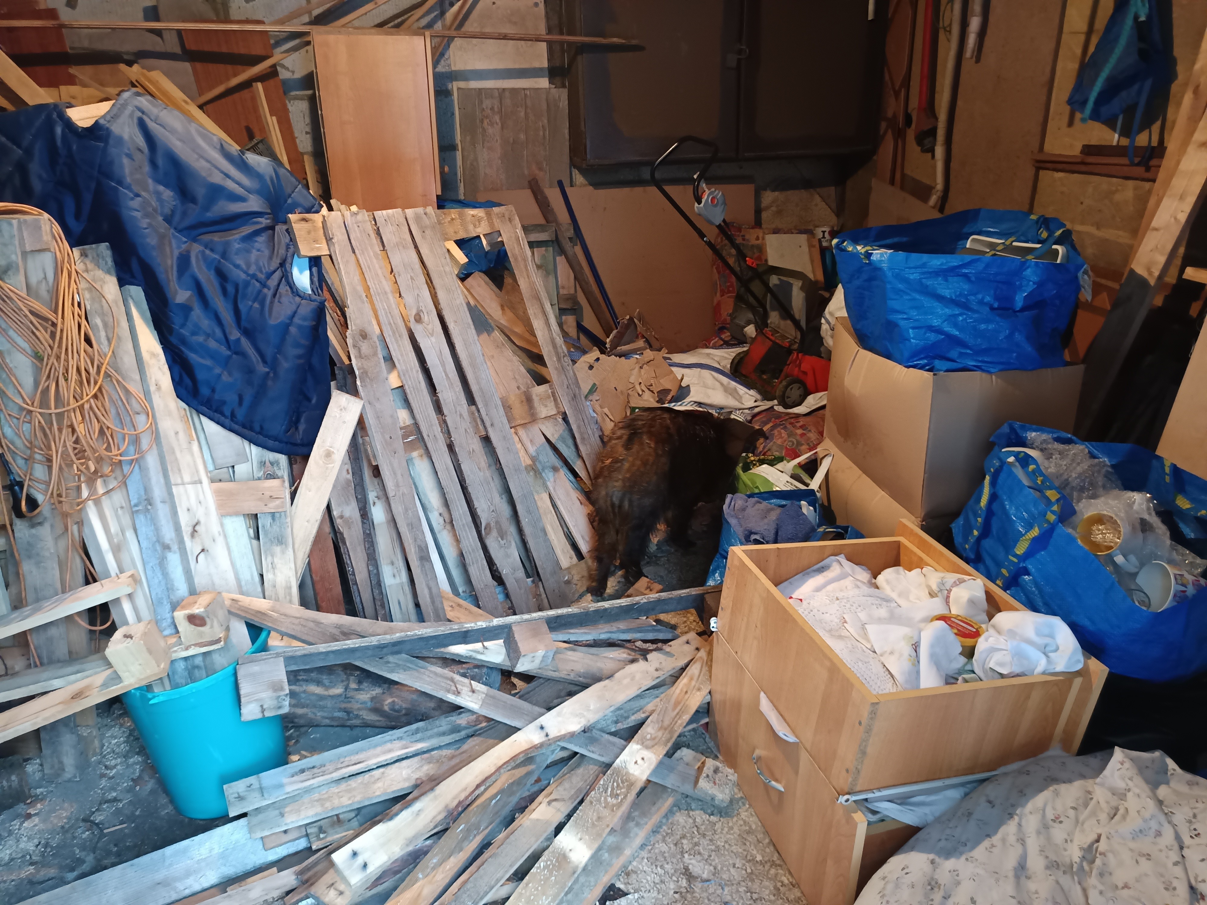 źródło: Straż Miejska w Wejherowie