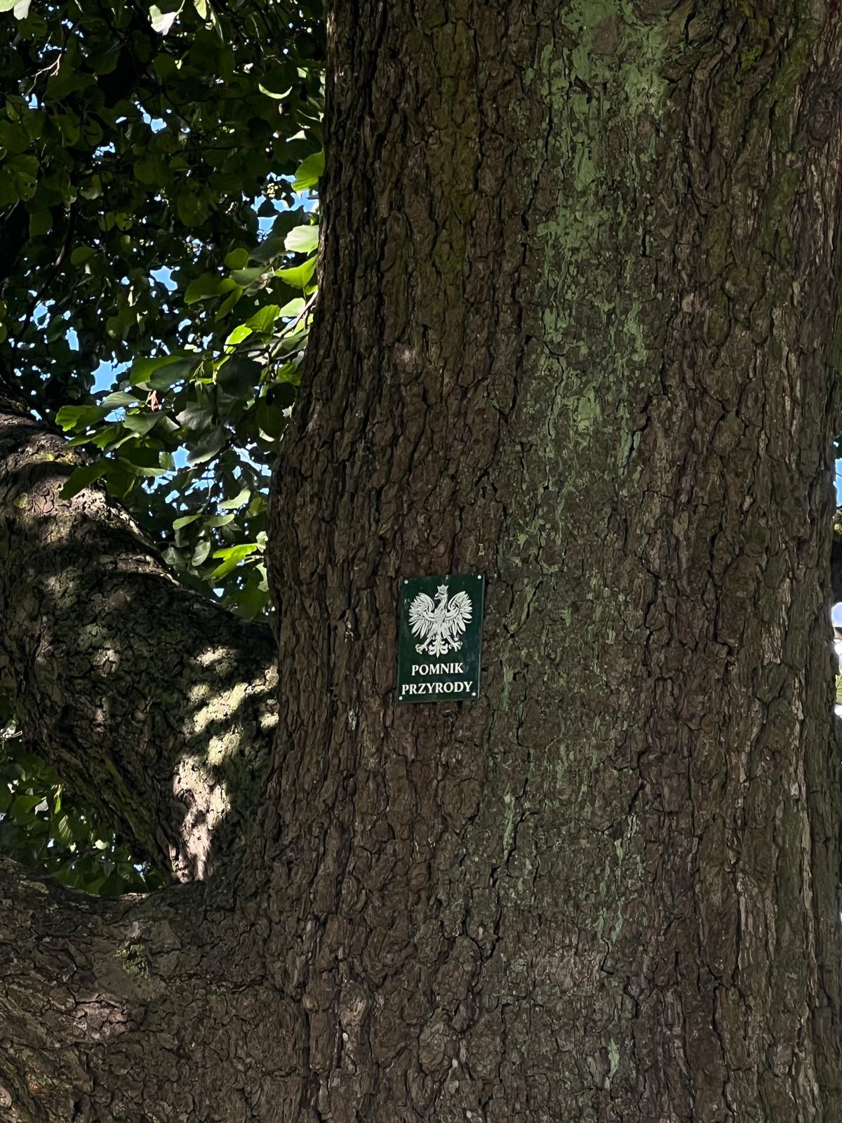 źródło: Twoja Telewizja Morska/fot. Mieszko Weltrowski