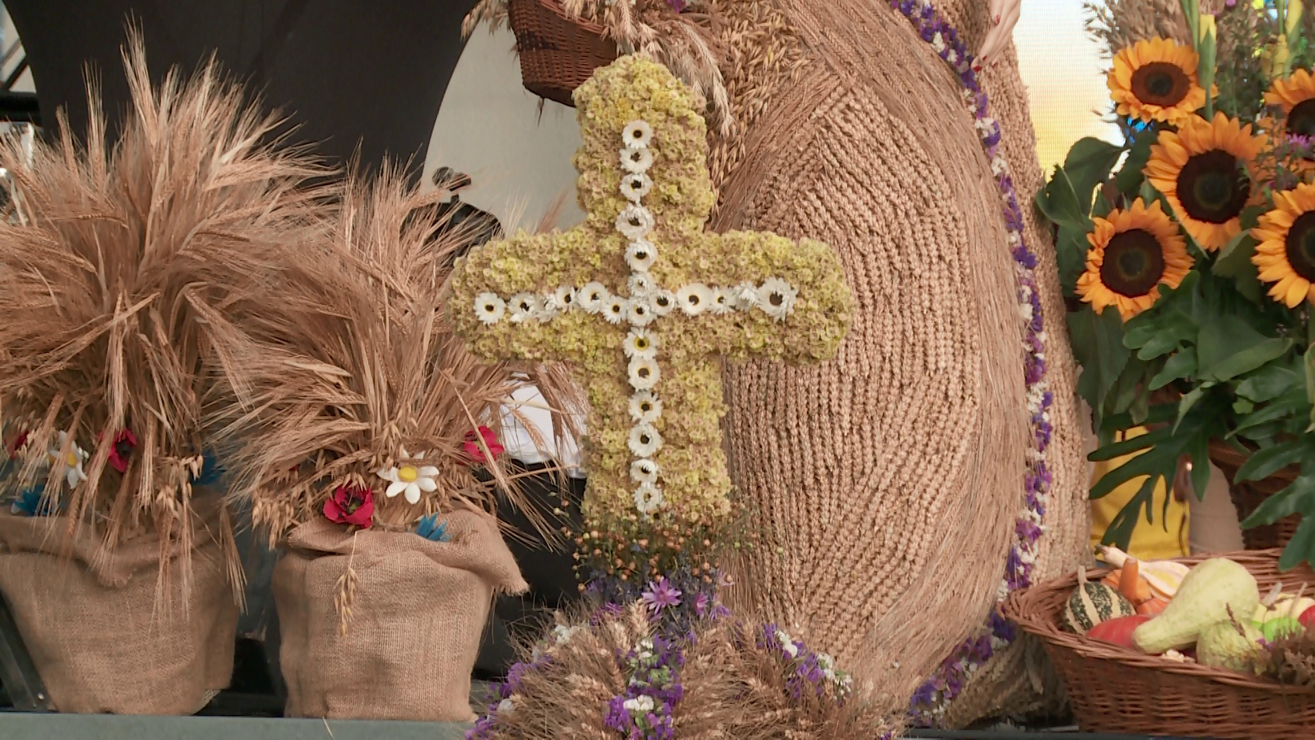 źródło: Twoja Telewizja Morska/Mateusz Paderewski