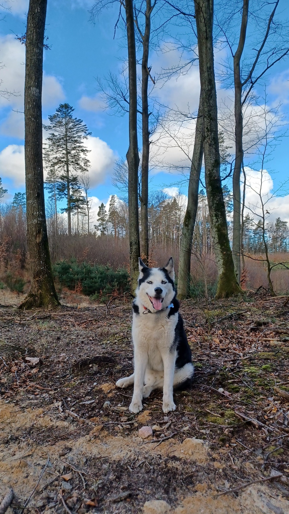 fot. Arkadiusz Fierek