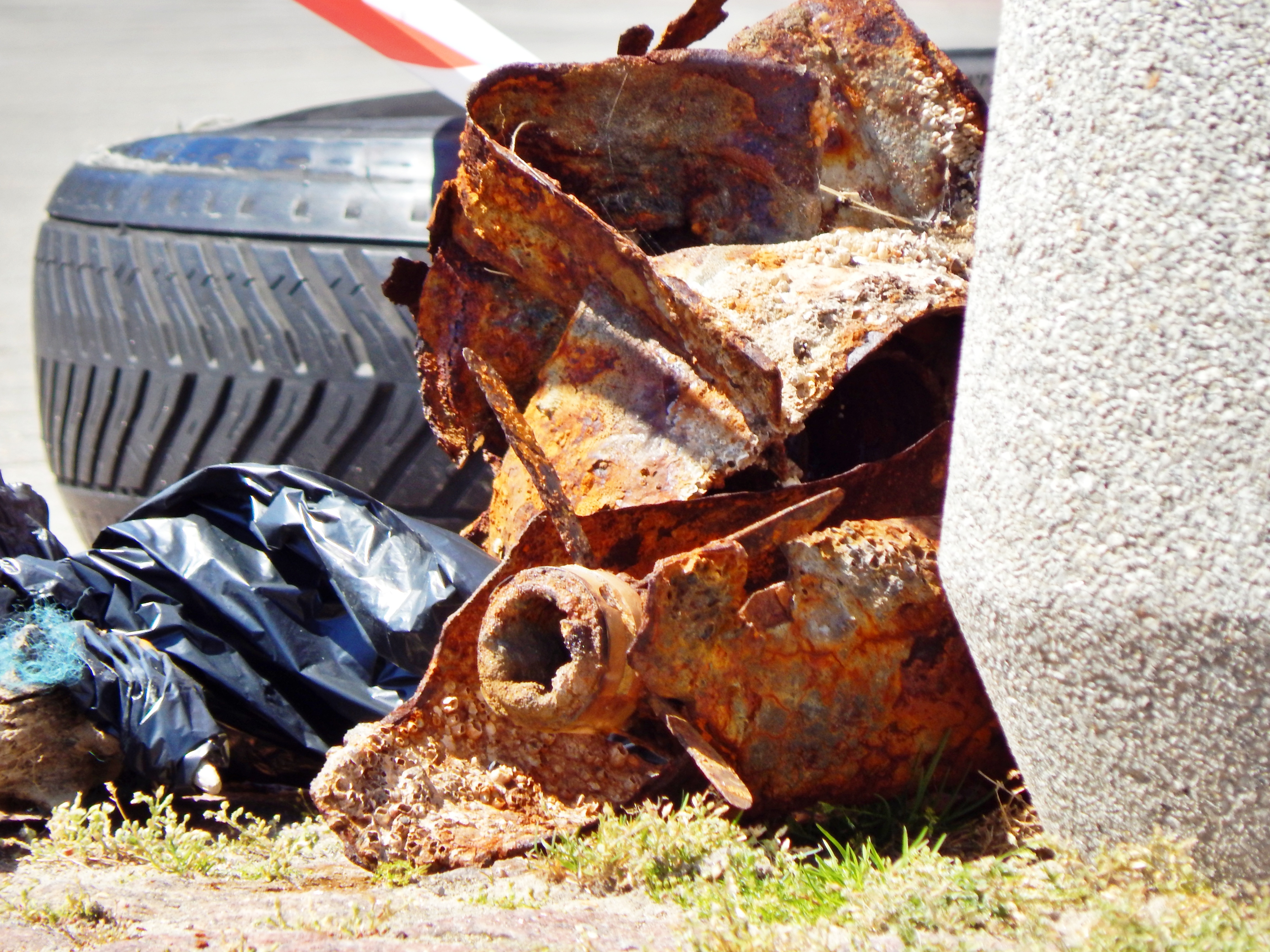 fot. Mariusz Jasłowski