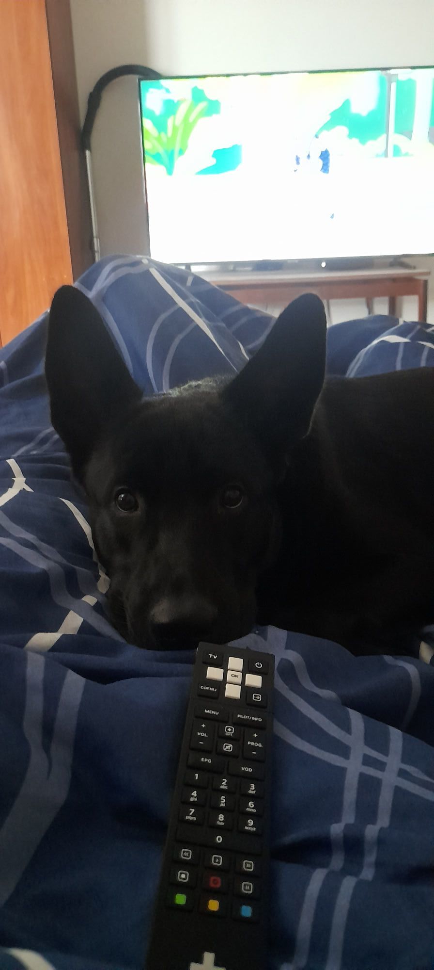 fot. Rafał Jaworski