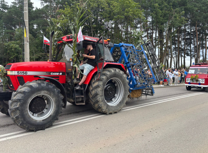 Zdjęcie: czytelniczka