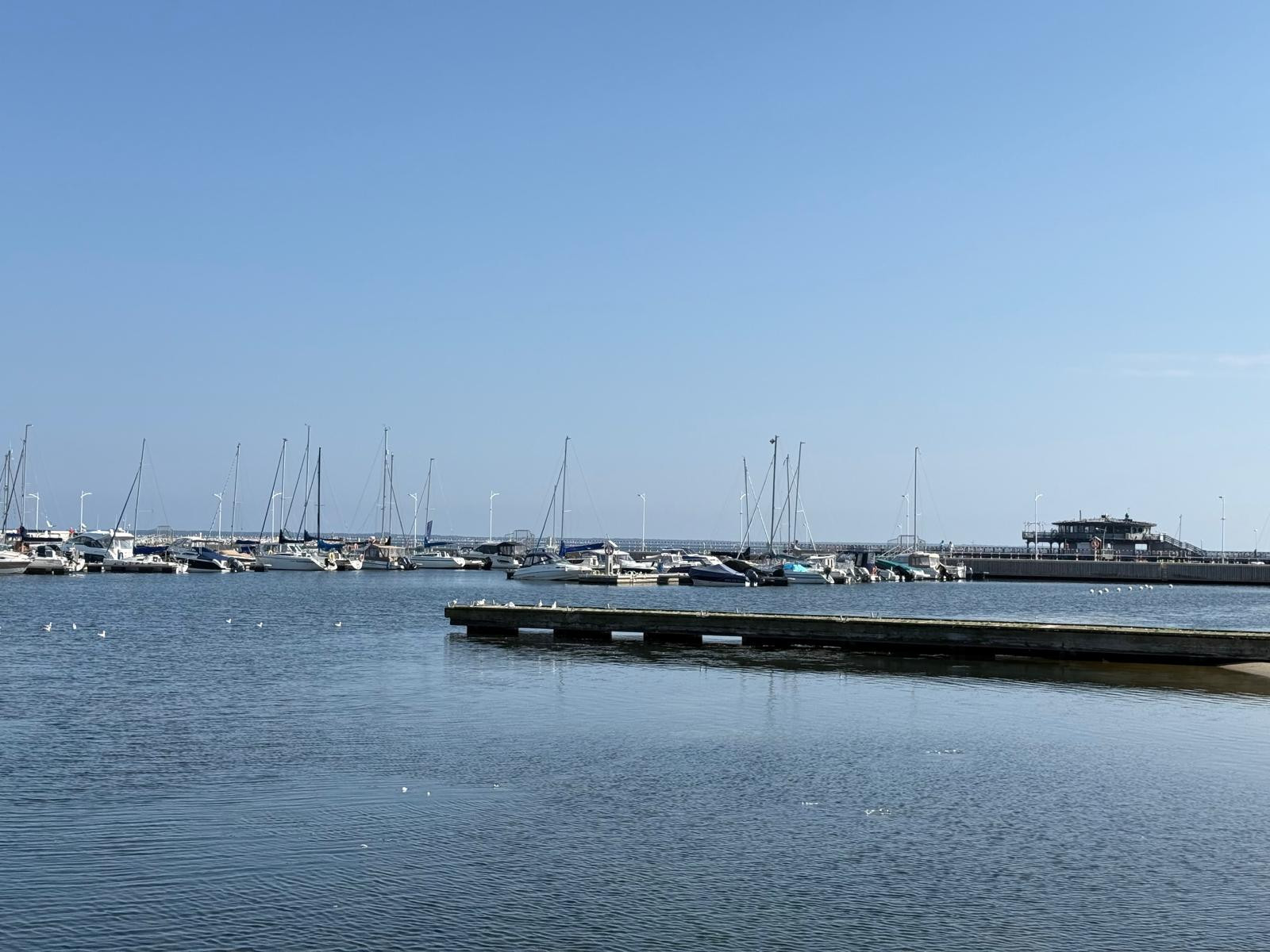 źródło: Twoja Telewizja Morska/Karina Trybańska