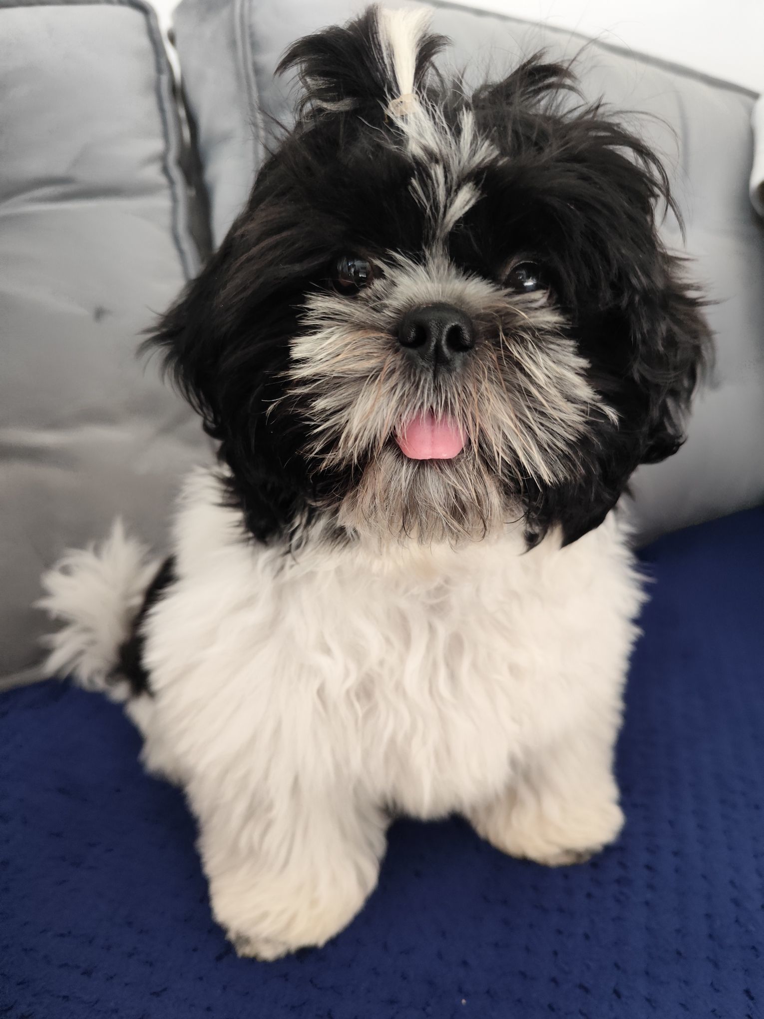 fot. Michał Richardt