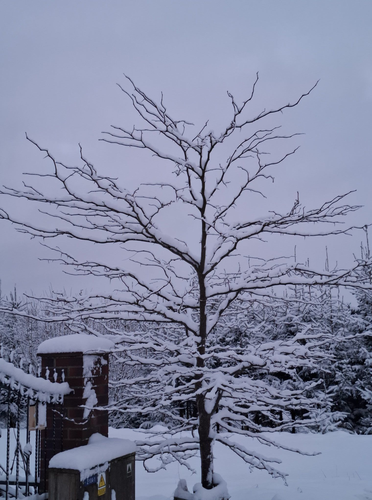 okolice Kartuz fot. Agnieszka Wróbel.jpg