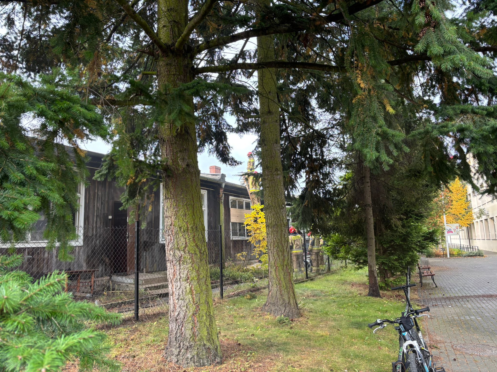 źródło: Twoja Telewizja Morska