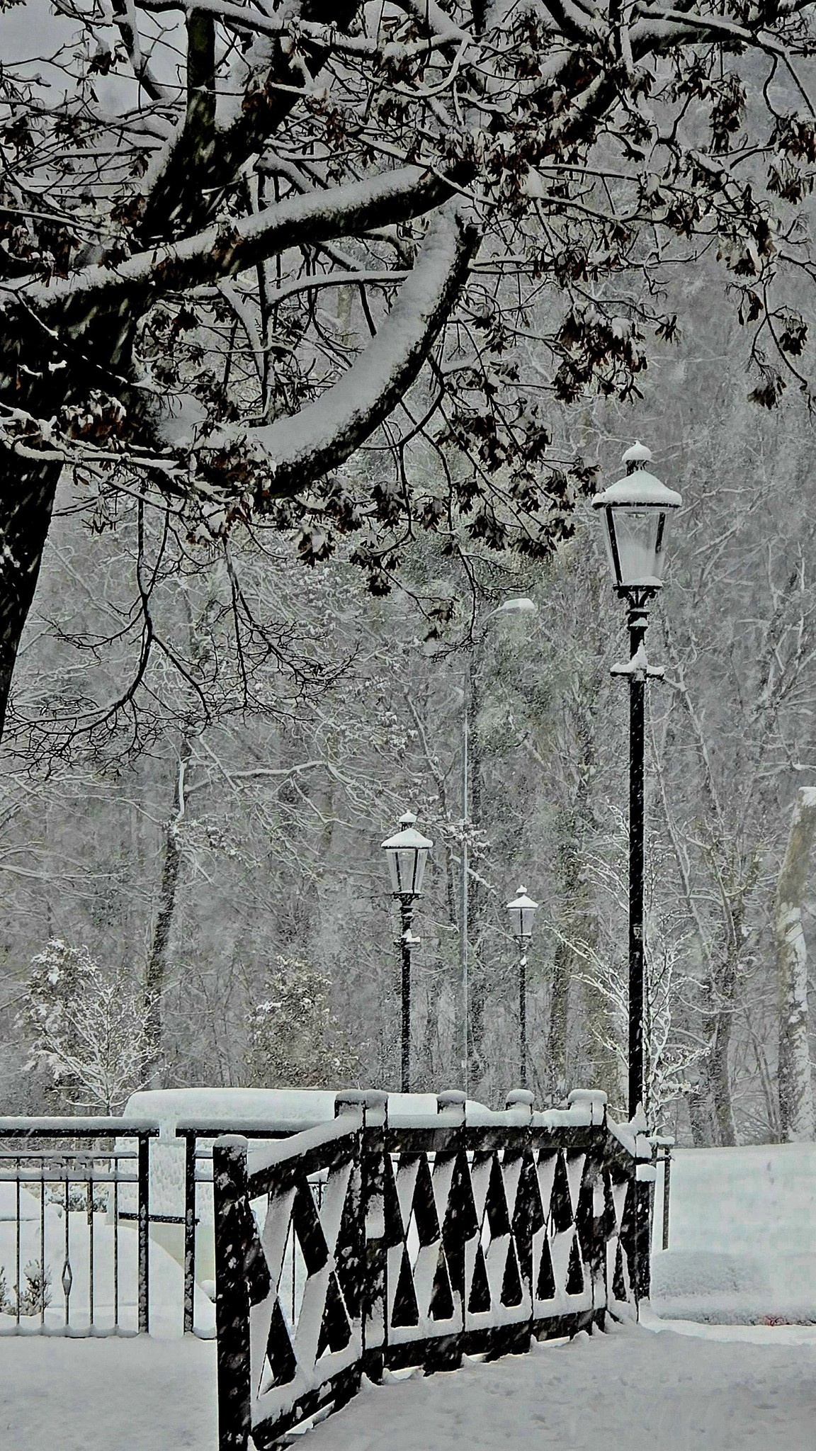 Małgorzata Kramp.jpg