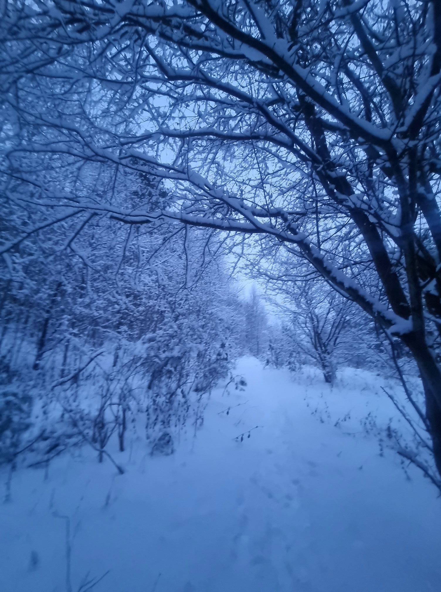 Rumia fot. Dorota Gadomska.jpg