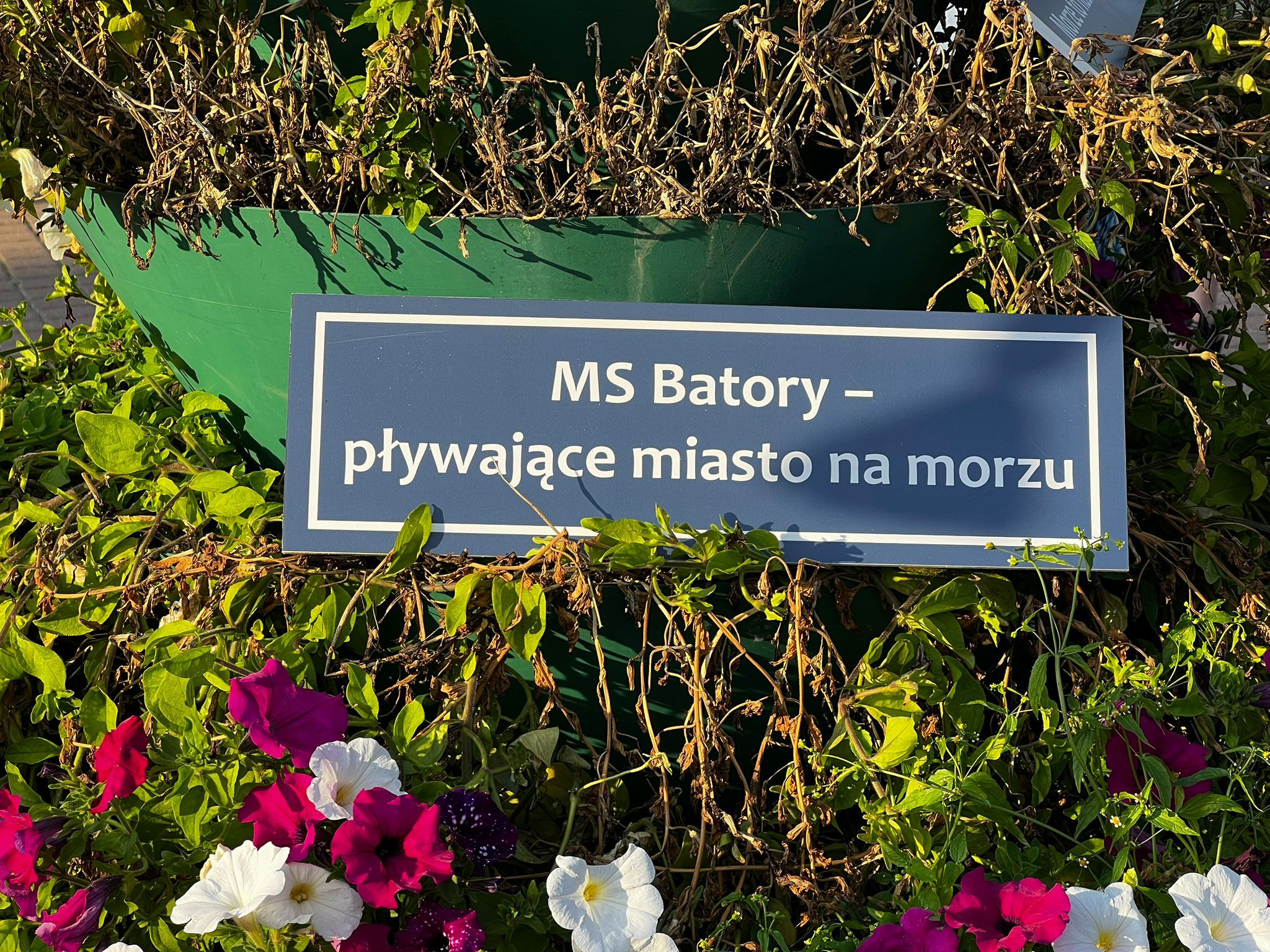 źródło: Twoja Telewizja Morska/fot. Michał Jarosz