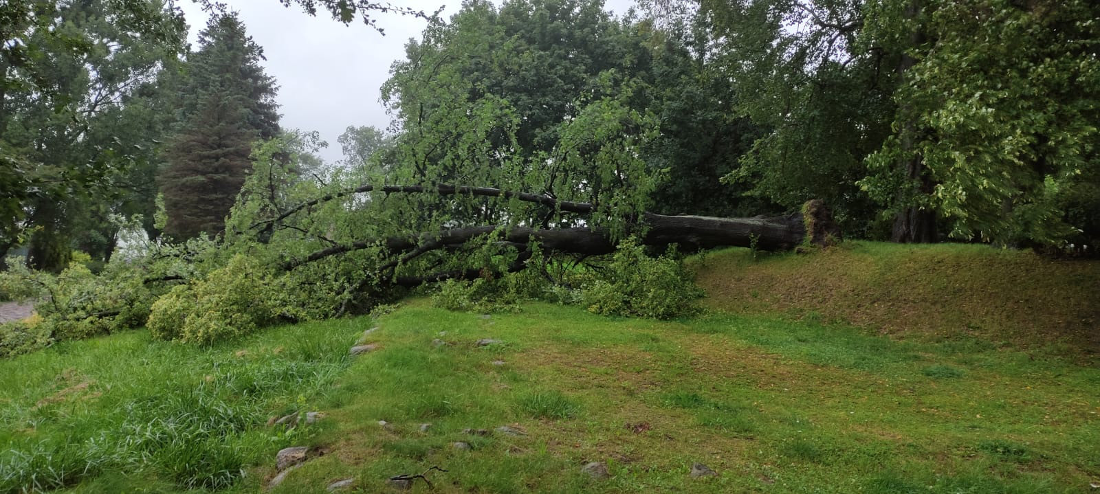 Fot. PSP w Pucku/OSP Leśniewo