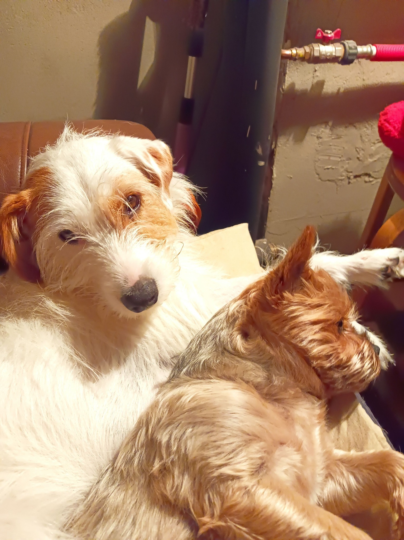 fot. Danuta Olszewska