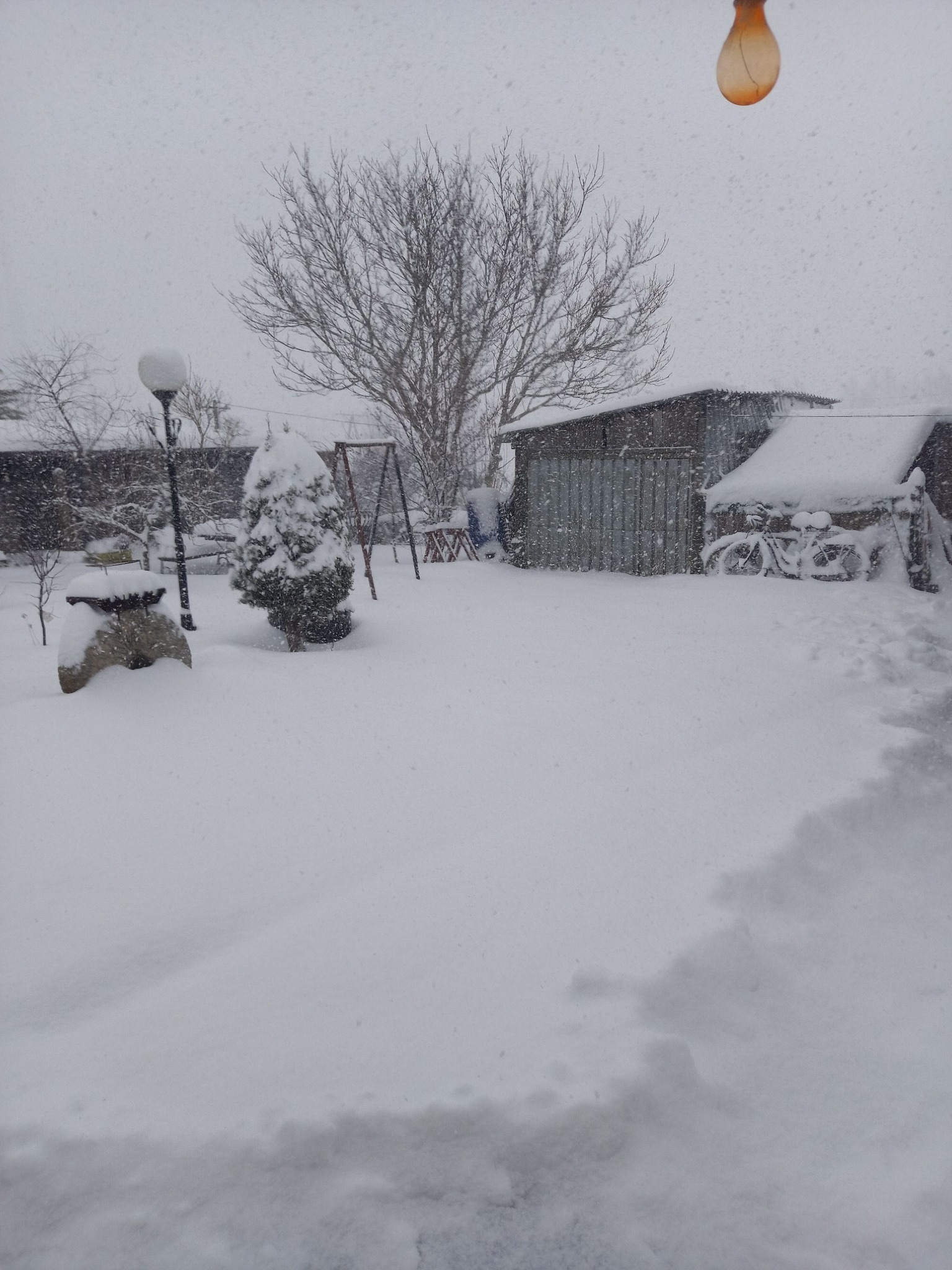 Grażyna Bońkowska.jpg