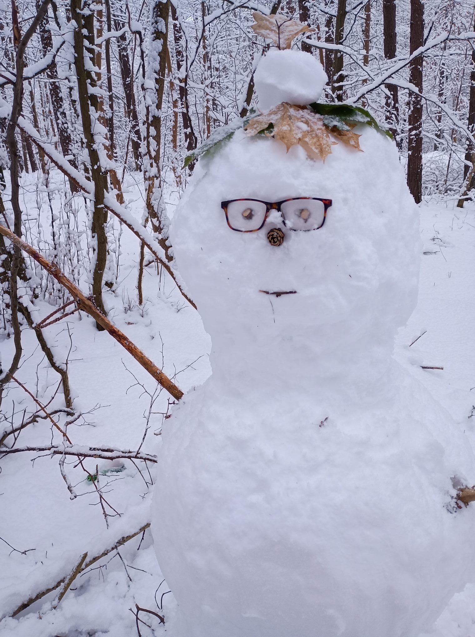 Nr 12/fot. Gabriela Zakrzewska.jpg