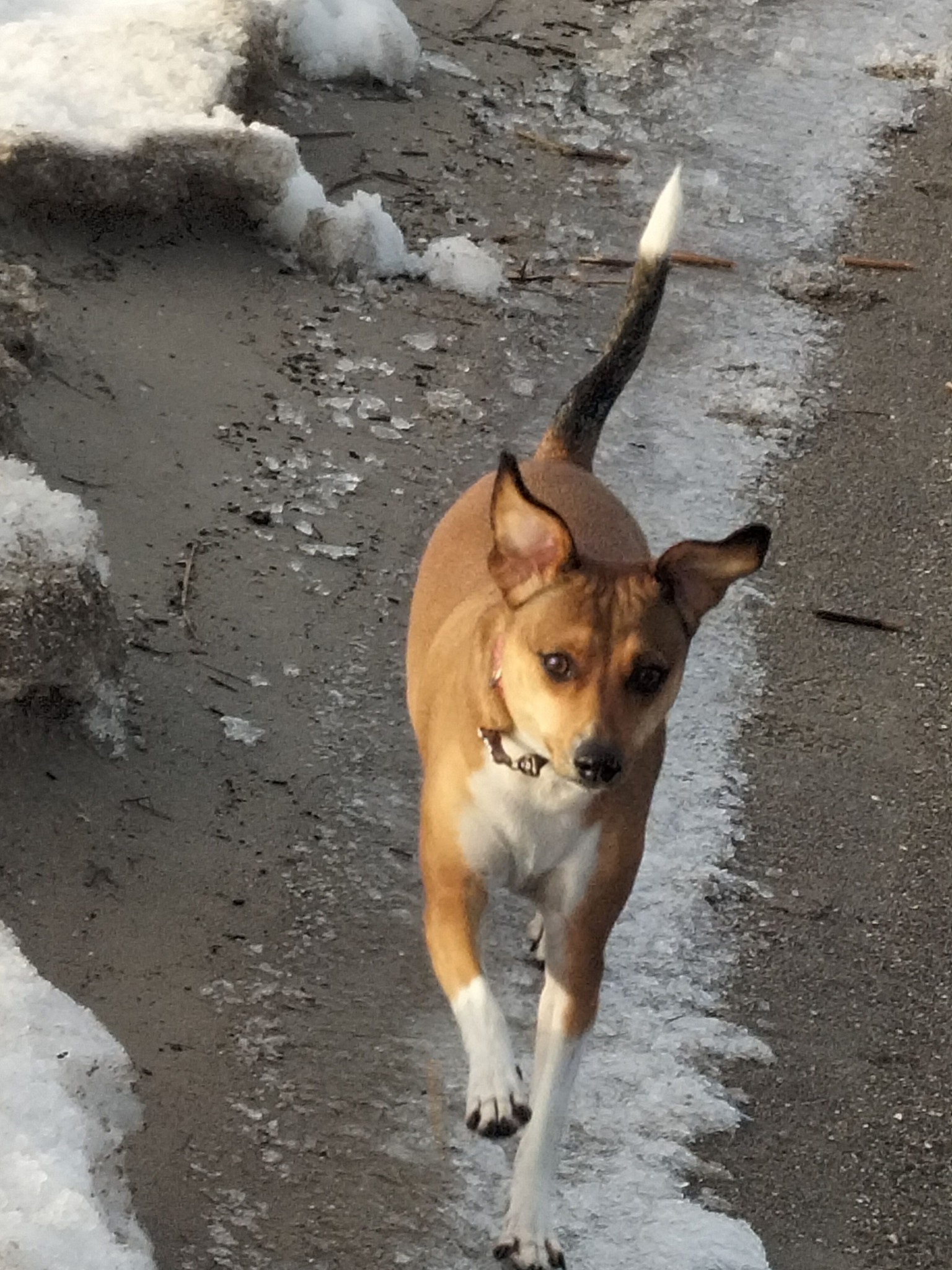 fot. Bożena Jarosiewicz