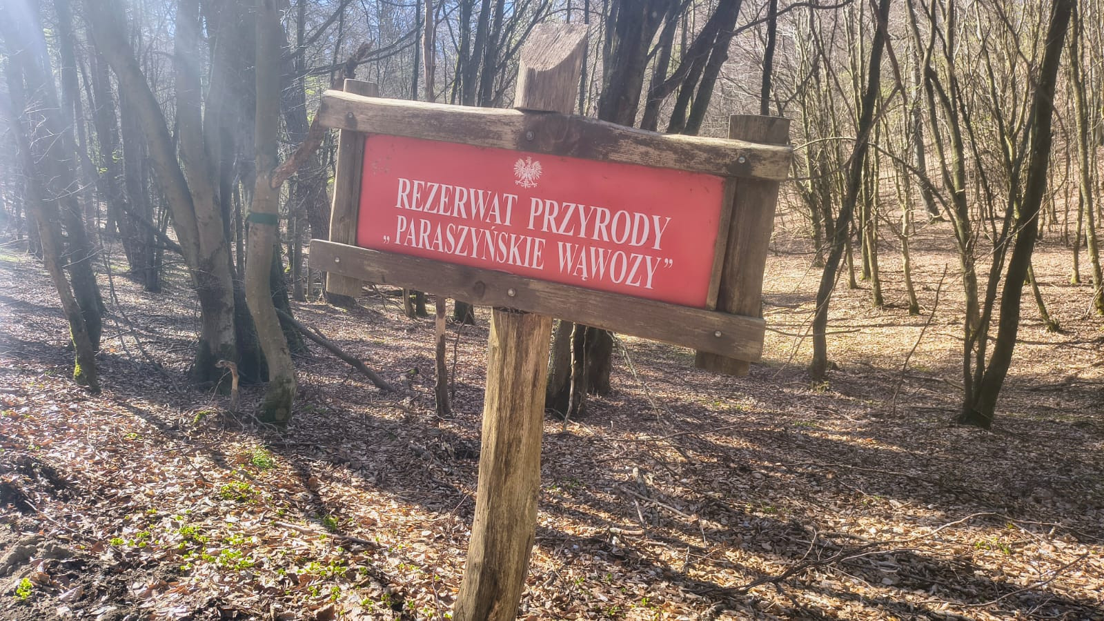 źródło: Nadmorski24.pl