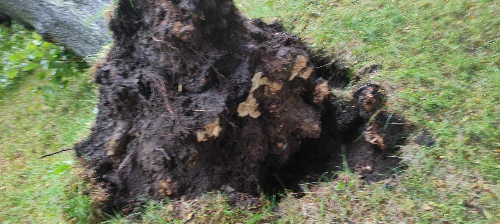 Fot. PSP w Pucku/OSP Leśniewo