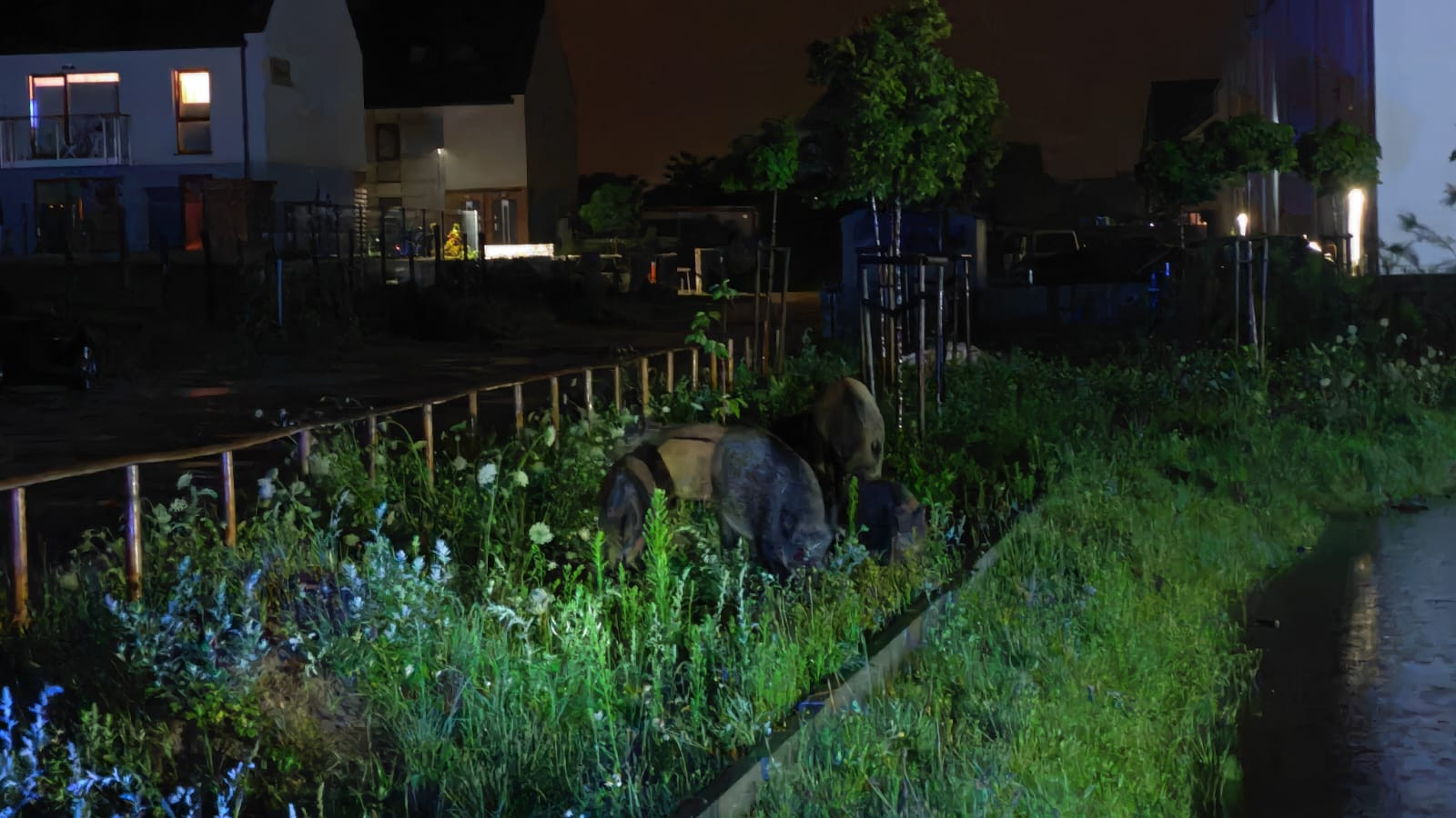 Fot. PSP w Pucku/OSP Leśniewo