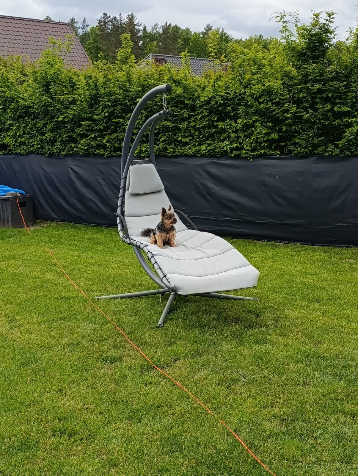 fot. Małgorzata Gołaś