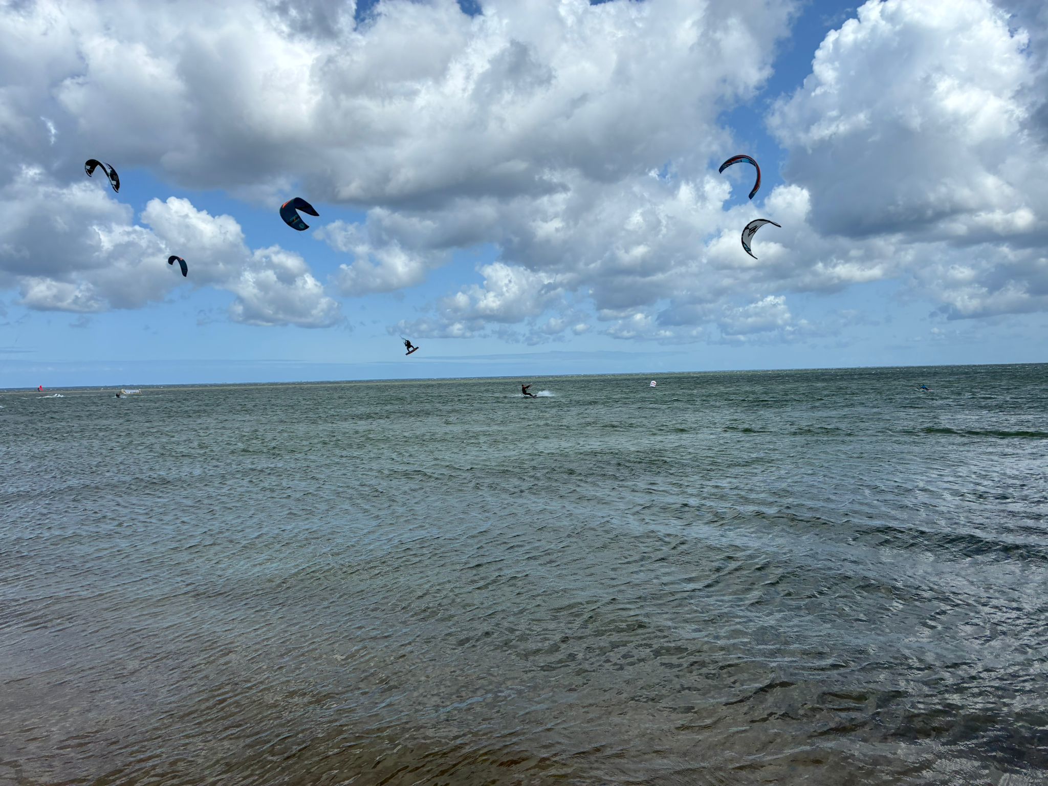King of The Bay w Rewie/źródło: Twoja Telewizja Morska