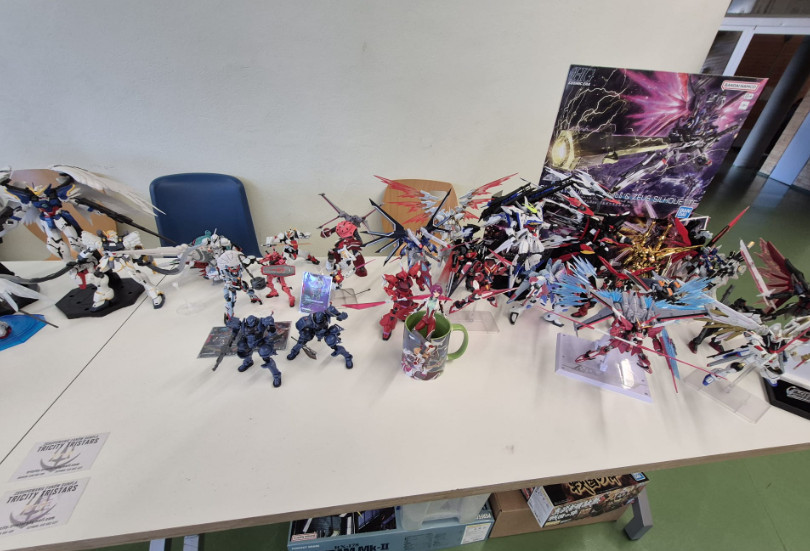 Zdjęcie: TTM/Czytelniczka