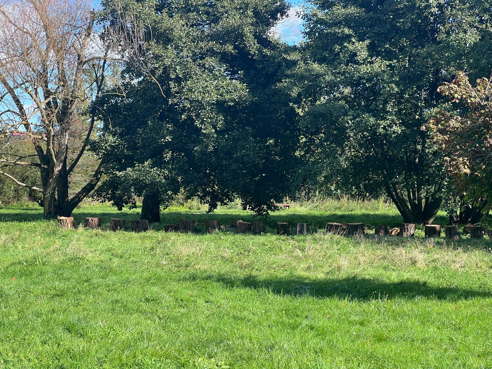 źródło: Twoja Telewizja Morska/fot. Mieszko Weltrowski