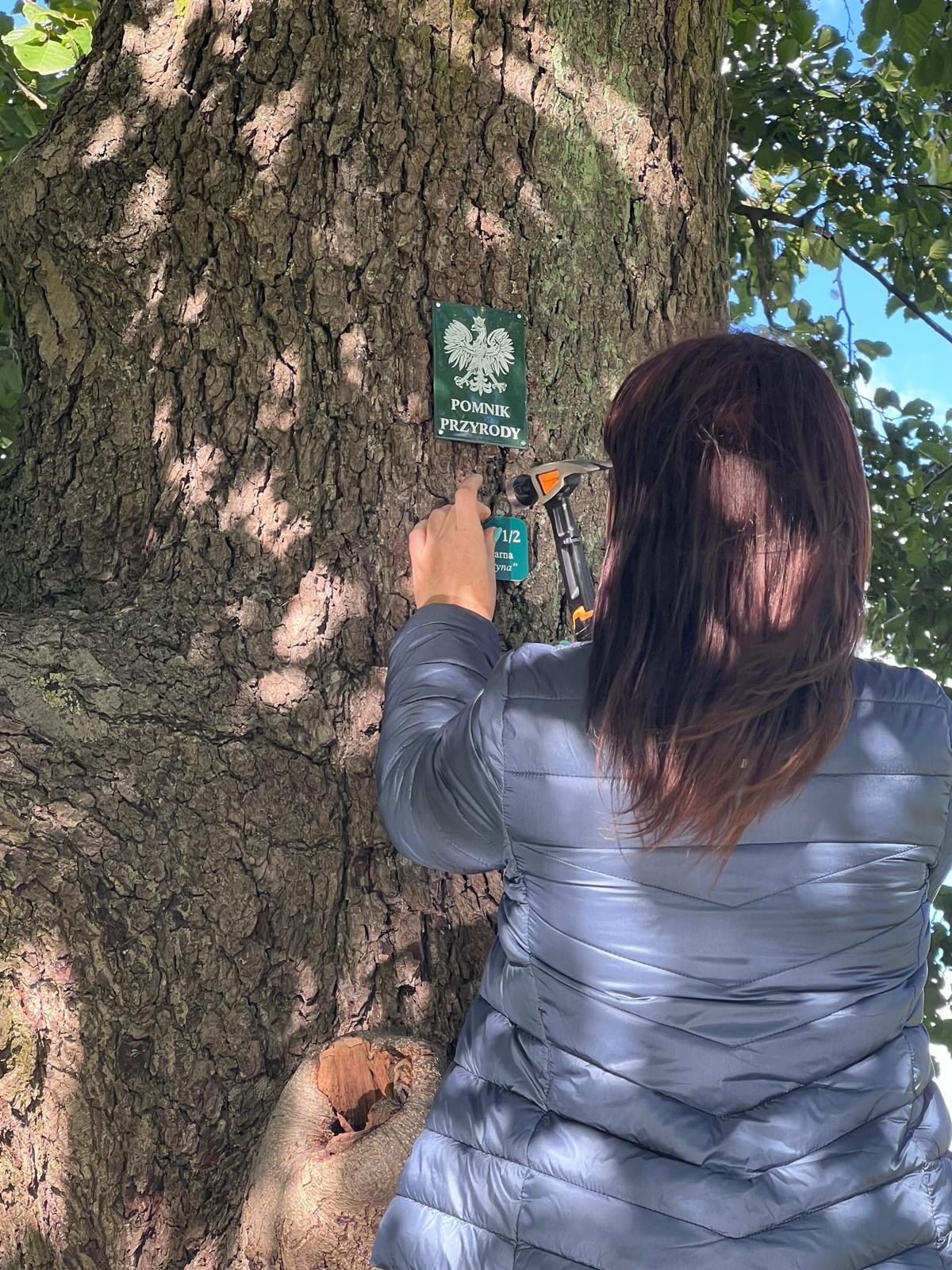 źródło: Twoja Telewizja Morska/fot. Mieszko Weltrowski