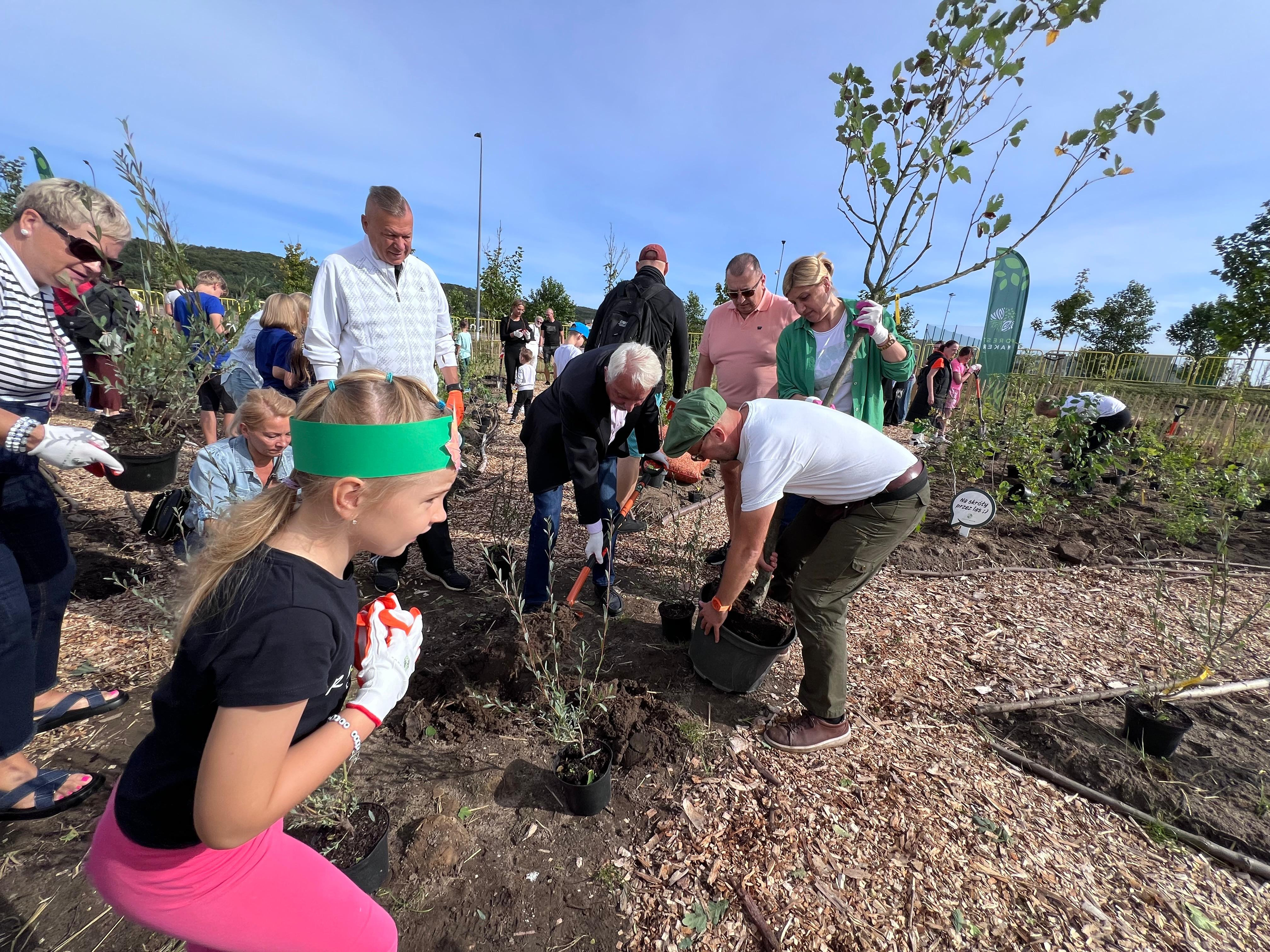 źródło: Twoja Telewizja Morska